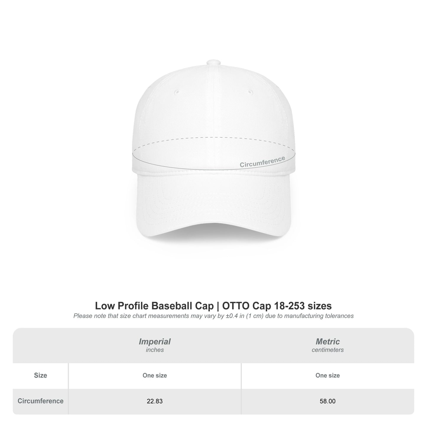 Boston QAZAQ Low Profile Baseball Cap — Kazakh Style Hat - Perfect Gift - Unisex