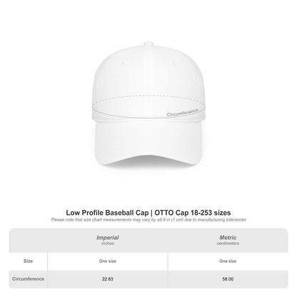 Boston QAZAQ Low Profile Baseball Cap — Kazakh Style Hat - Perfect Gift - Unisex